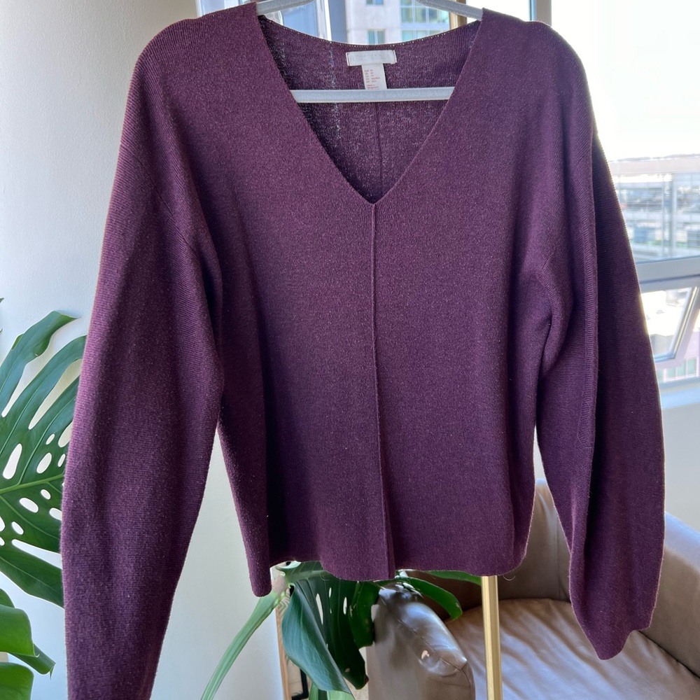 Plum colored v neck H&M sweater